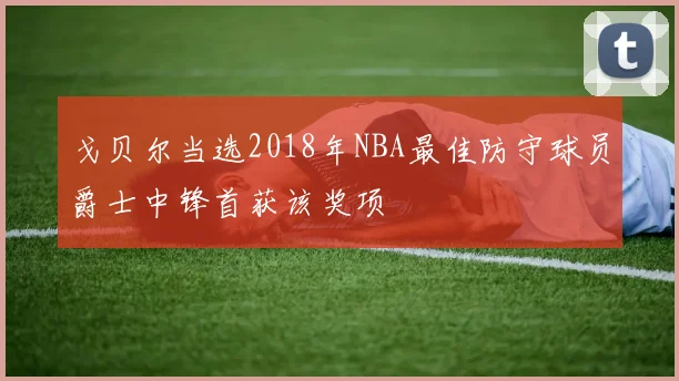 戈贝尔当选2018年NBA最佳防守球员爵士中锋首获该奖项