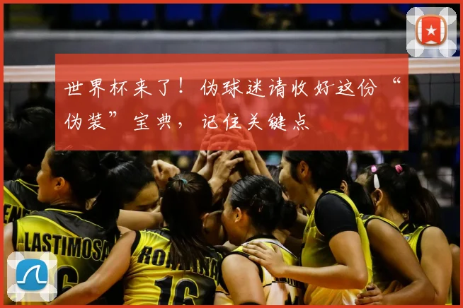 世界杯来了!伪球迷请收好这份“伪装”宝典,记住关键点