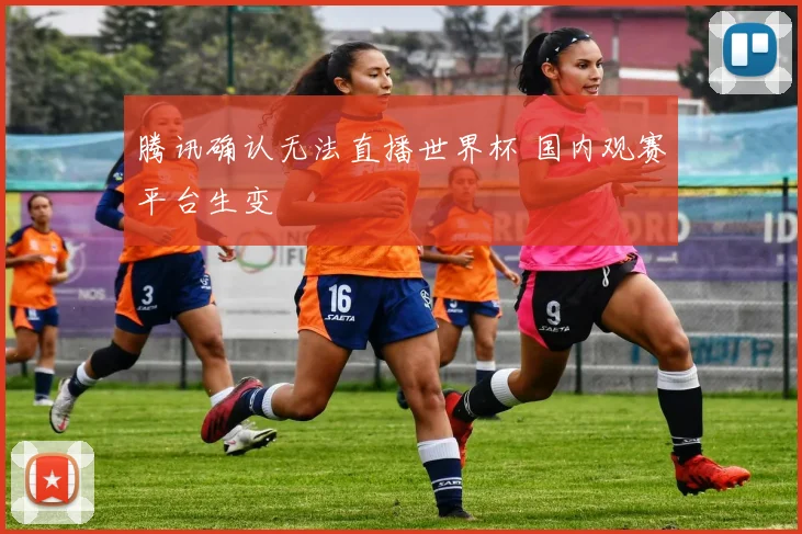 腾讯确认无法直播世界杯 国内观赛平台生变