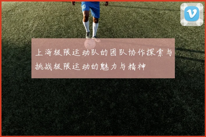 上海极限运动队的团队协作探索与挑战极限运动的魅力与精神