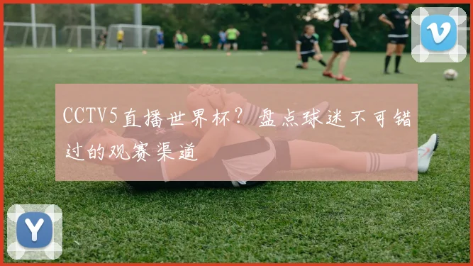 CCTV5直播世界杯?盘点球迷不可错过的观赛渠道
