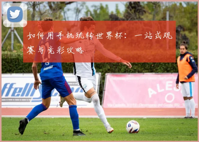 如何用手机玩转世界杯：一站式观赛与竞彩攻略